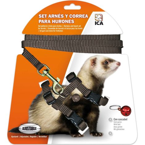 ICA DA973 Set Imbracatura e Cinghia per Furetti, Nero (1/2)