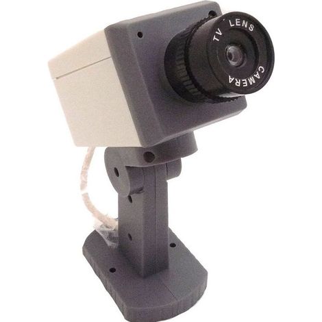 TELECAMERA FINTA MOTORIZZATA