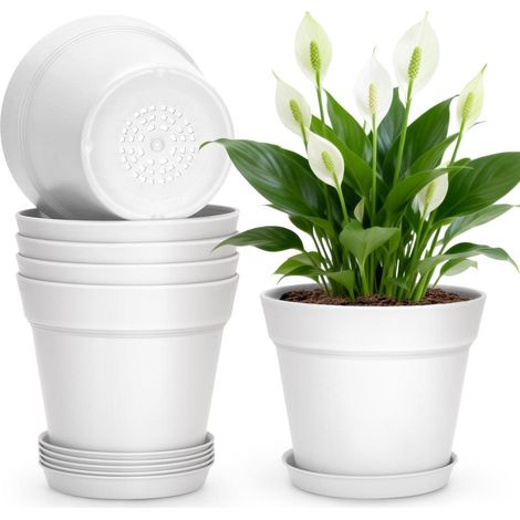 6er Set Blumentöpfe mit Untersetzer 15cm Weiß für Kakteen & Kräuter (1/5)