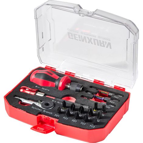 Lot de 18 Outils avec Boîte de Rangement, y Compris Embouts de Vissage Magnétiques en Acier S2 25/50 mm (Torx/PZ/cruciforme), Poignée de Tournevis, Mini clé à Cliquet, Porte-embout (1/5)
