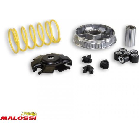 malossi variator für roller yamaha 125 cygnus nach 1997 5111567 / (1/2)