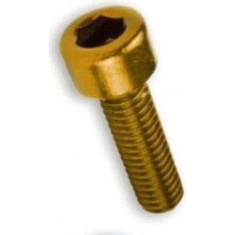 Vis vicma ss-374-m6x30-oro acier inoxydable 6 pièces