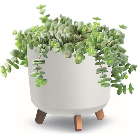 1 pot de fleurs rond 30 cm blanc mat + pieds intégrés + bac plastique léger pour balcon et intérieur
