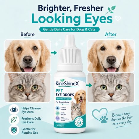 KineShineX Pet Eye Cleanser eignet sich sowohl für Katzen als auch für Hunde, ist sanft und reizt die Haut nicht, wodurch die tägliche Pflege erleichtert wird. (1/5)