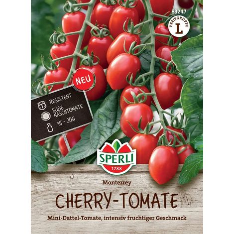 Sperli Tomaten Cherrytomate Monterrey F1 - Hybride - Gemüsesamen (1/2)