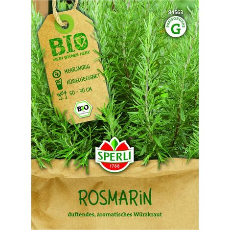 Sperli – Romarin – Graines de romarin vivace et persistant, 1 portion