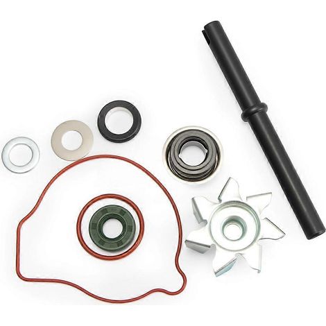 Motorrad-Wasserpumpen-Reparatursatz, kompatibel mit Honda CBR900RR, CBR929RR und Fireblade (2000–2003) (1/4)
