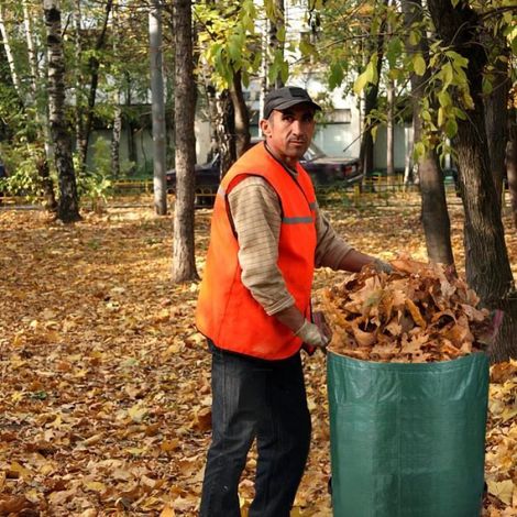 Sacs de Jardin 4x272L, Sacs à Déchets de Jardin, Poubelle de Jardin, pour Les Déchets de Jardin Feuillage de Pelouse Vert (1/4)