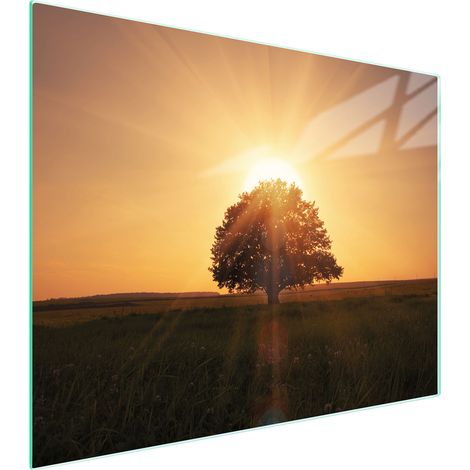 Glasschneidebrett 52x40 Baum (1/5)