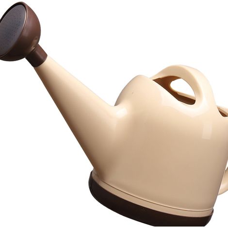 Arrosoir 4L Plastique avec Tête Arrosage Détachable Pot à Eau pour Jardin Intérieur/Extérieur Plantes Fleurs Beige (1/4)