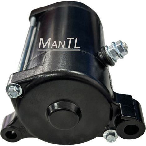 Démarreur de moto compatible avec Yamaha WRB650CC 6M6-81800-10-00 (1/4)