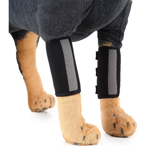 Orthèse de genou pour chien pour le soutien du LCA/LCP - Orthèse de patte respirante pour animaux de compagnie pour la récupération des blessures (1/4)