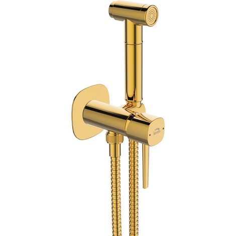 Robinet de bidet dissimulé avec ensemble de douche (1/3)