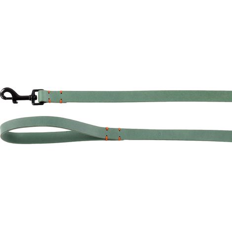 Laisse Vert 130CM 20MM