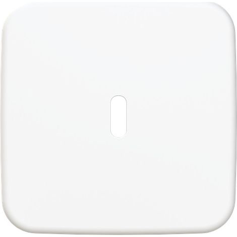 Busch-Jaeger Plaque centrale Station de charge USB 1x avec connexion USB C blanc alpin - Reflex SI (6479-214), 2CKA006400A0439