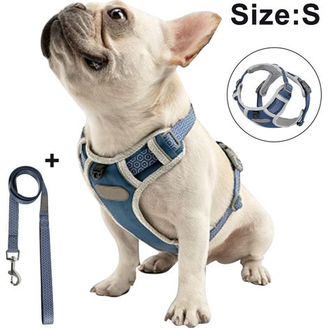 Harnais de poitrine pour chien avec corde de traction, gilet respirant pour animaux de compagnie pour la promenade, le dressage et le contrôle en extérieur pour les races moyennes et grandes.