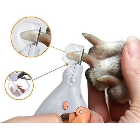 Tagliaunghie professionale per cani - LED - Acciaio inossidabile - Resistente agli schizzi (1/5)