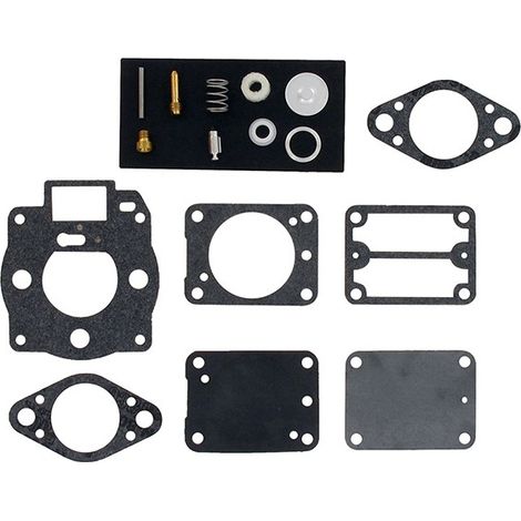 Kit réparation carburateur BRIGGS ET STRATTON 693503 (1/2)