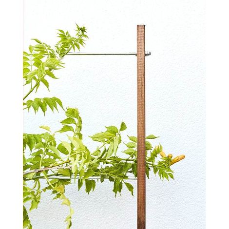 Bac à fleurs en bois avec treillis Lign Z - 100 x 30 x 130 cm