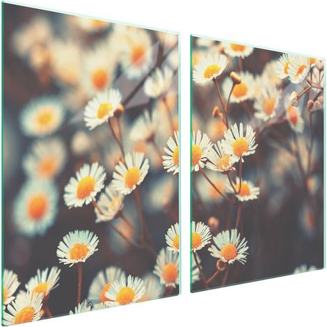 Plaque de protection en verre pour poêle 2x45x52 Fleur (1/5)