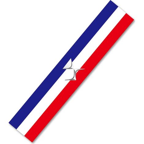 (Convient pour DS) Autocollant décoratif pour volant avec emblème de voiture, compatible avec DS Spirit, DS4S, DS5, 5LS, DS3, DS4, DS6, DS7, DS9, Wild Rubis et Deesse. (1/4)