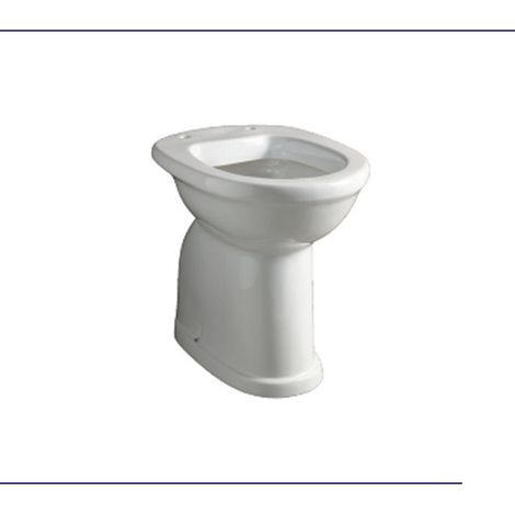 WC a Terra Filo Muro Per Disabili Con Brida - Scarico a Terra Senza Sedile Coprivaso (1/2)