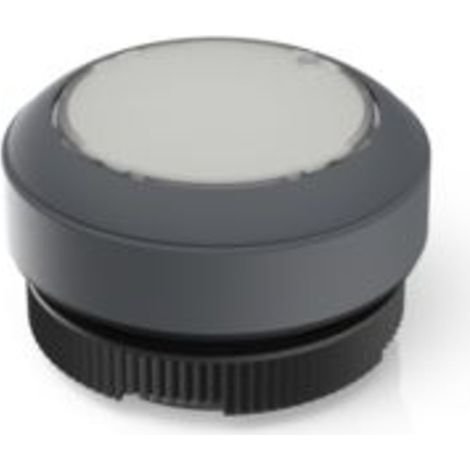 RAFI 1.30.270.901/2207 RAFIX 22 FS Leuchtdrucktaster tastend (L x B x H) 29.8 x 29.8 x 18.5 mm
