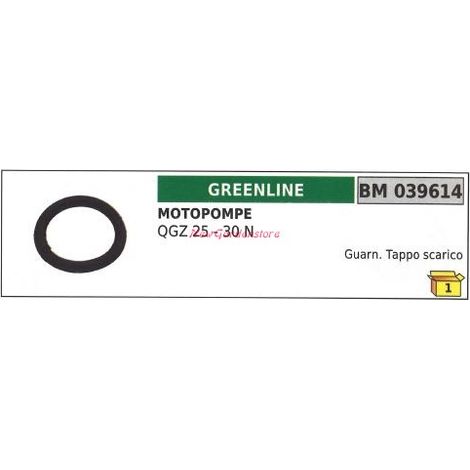 Guarnizione tappo scarico GREENLINE motopompa QGZ 25 30 N 039614