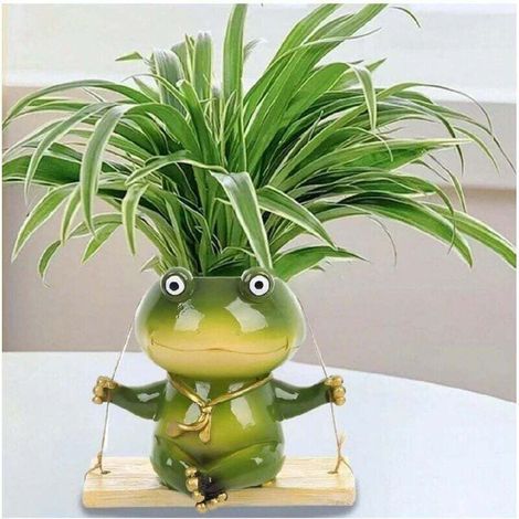 Statue de jardin Grenouille - Jardinière de 6 pouces, Jardinière suspendue pour plantes d'intérieur, Décoration intérieure, Petite maison, Décoration extérieure mignonne (1/4)