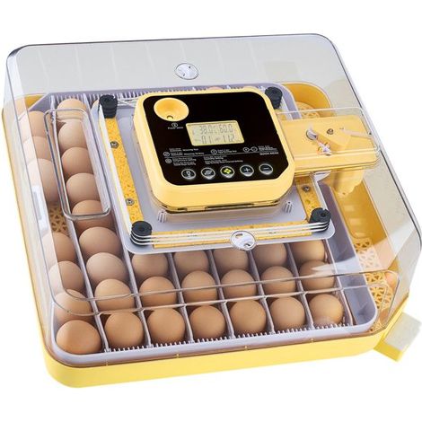 Incubateur automatique, capacité 48 œufs, pour œufs de volaille, avec contrôle de la température, pour l'incubation à domicile et l'élevage de volailles contrôlé.-AquaForge (1/5)