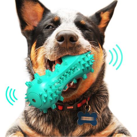 Brosse a Dent Chien, Jouet à Mâcher pour Chien, Résistant à la Morsure Bâton de Nettoyage des Dents en Caoutchouc pour Petits et Moyens Chiens (Bleu) (1/5)