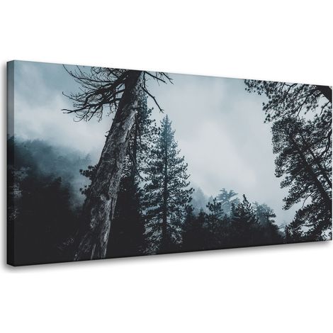 Leinwanddruck Natur Baumkronen 80x40 cm