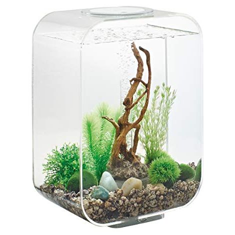 Acquario LED trasparente da 15 litri - LIFE 15 LED TRANSPARENT - Oase (1/4)