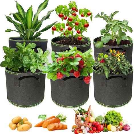 Bolsas para Plantas, 6 Piezas Bolsas de Cultivo, 19 L Macetas de Tela, Grow Bags, Saco para Plantas 5 galones, Bolsa de Plantas con Mango, para Plantas, Fresas, Flores, Patatas, Tomates (1/3)