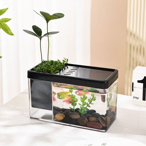 Aquarium - Support-stylo En Verre Transparent - 3,8 L - Pour Poissons Rouges Miniatures Ou Crevettes - Bureau Ou Intérieur - 1 Pièce (1/3)