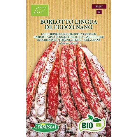 Graines de Haricots Français 80 g