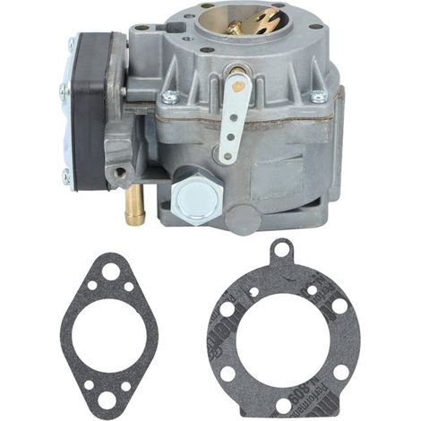 Carburateur de Remplacement pour Moteur Briggs & Stratton - Réf. 693480 (1/5)