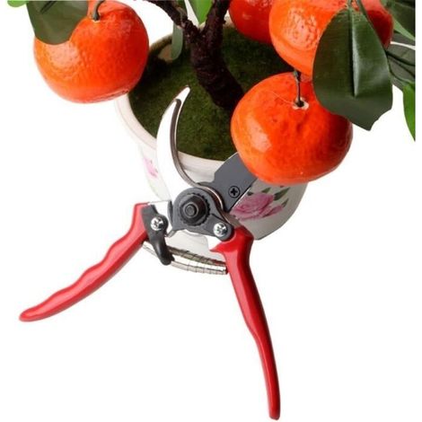 Sécateur de jardin sécateur de jardin outils de greffage ciseaux outils de jardin (1/4)
