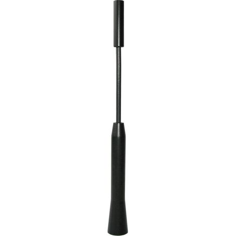 Antenna ad asta per auto Alluminio Nero Eufab 17564