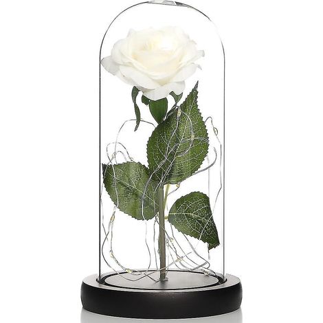 Ewige Rosen unter Glas – Geburtstagsgeschenke – Muttertag (1/4)