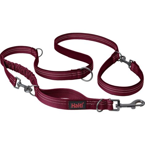 Guinzaglio per Cani Company of Animals Bordeaux S (1/5)