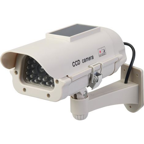 indoor Caméra de Surveillance factice Solaire avec LED NPTERBL (1/5)