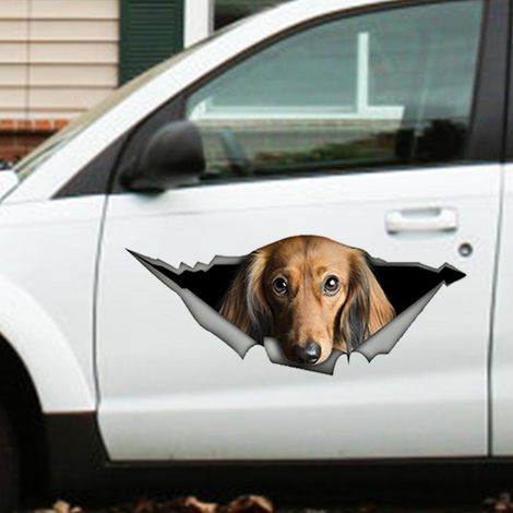 Autocollant Voiture 3D Chien Cassé Décoratif - Décalque Adhésif Imperméable pour Pare-brise, Mur et Carnet (1/5)