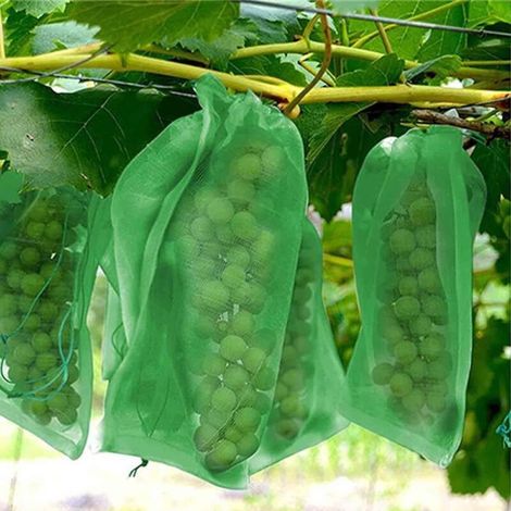 Filet anti-oiseaux et anti-insectes, 100 Sac Protection Fruits Sacs Filets Protection des Grappes de Raisins Contre Les Oiseaux et Insectes Guêpes Frelons 30 x 20 cm (1/5)