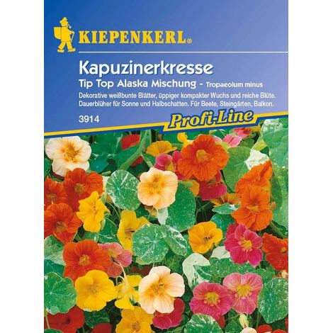 Kiepenkerl Kapuzinerkresse Tip-Top Alaska Tropaeolum minus, Inhalt ca. 25 Pflanzen Gemüsesamen (1/4)