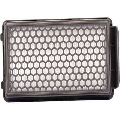 Filtre HEPA - Pour Aspirateurs Compact Power Cyclonic - Compatible Rowenta Moulinex Tefal - ZR005901 - 1 Pièce (1/4)