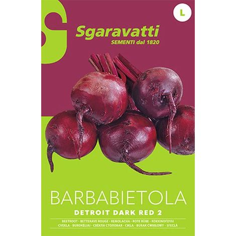 Semi per Ortaggi e Vegetali Barbabietola Detroit Sgaravatti 10 Pezzi (1/2)