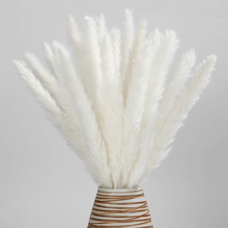 Herbe de la pampa séchée - Naturelle, 30 plumes de roseau, bouquet de fleurs séchées pour décoration DIY maison, cuisine, mariage, fête (1/5)