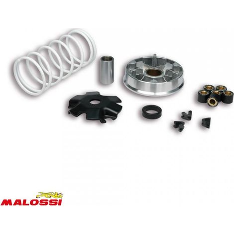 malossi variator für roller kymco 50 agility 2t r16 kf10b / 51 (1/3)