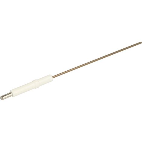 Electrode d'ionisation